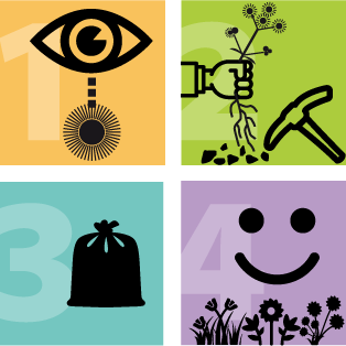 Kampagne weniger Berufkraut, mehr Vielfalt